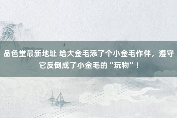 品色堂最新地址 给大金毛添了个小金毛作伴，遵守它反倒成了小金毛的“玩物”！
