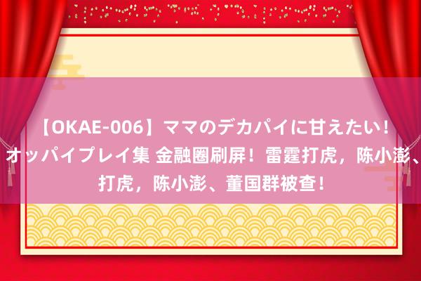 【OKAE-006】ママのデカパイに甘えたい！抜かれたい！オッパイプレイ集 金融圈刷屏！雷霆打虎，陈小澎、董国群被查！