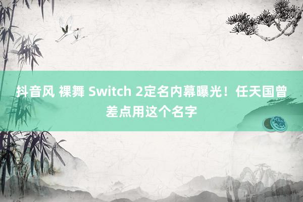 抖音风 裸舞 Switch 2定名内幕曝光！任天国曾差点用这个名字