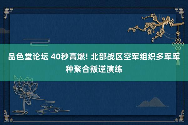 品色堂论坛 40秒高燃! 北部战区空军组织多军军种聚合叛逆演