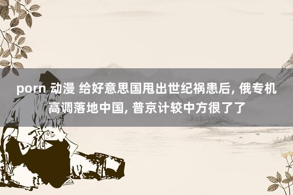porn 动漫 给好意思国甩出世纪祸患后, 俄专机高调落地中