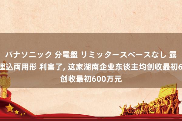 パナソニック 分電盤 リミッタースペースなし 露出・半埋込両