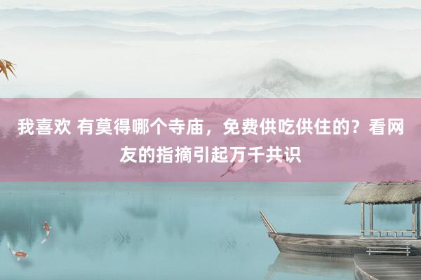 我喜欢 有莫得哪个寺庙，免费供吃供住的？看网友的指摘引起万千