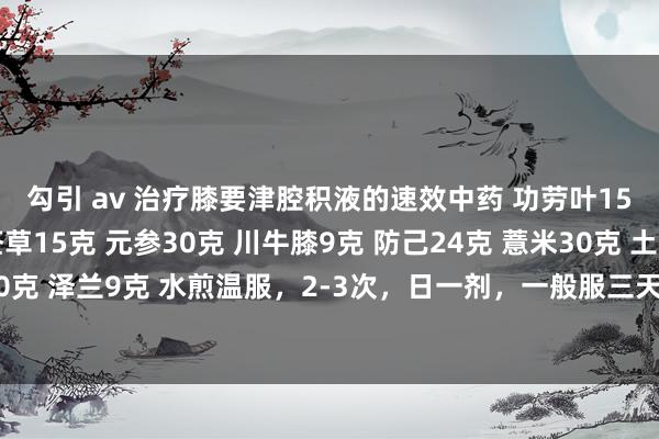 勾引 av 治疗膝要津腔积液的速效中药 功劳叶15克 女贞子