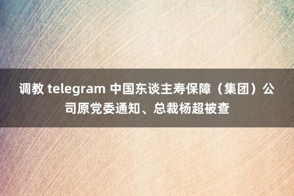调教 telegram 中国东谈主寿保障（集团）公司原党委通